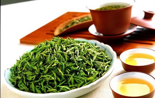 品牌化、健康化、多元化將是茶葉產(chǎn)業(yè)發(fā)展的重要趨勢???