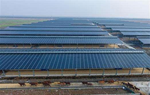 2019年，預(yù)計(jì)全社會用電量同比增長5%-8%，增長7%的概率較大??