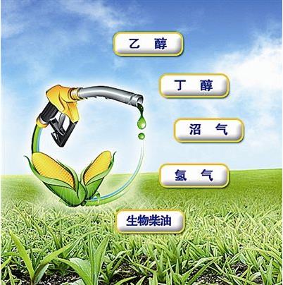 開發利用生物質能源具有深遠的戰略意義