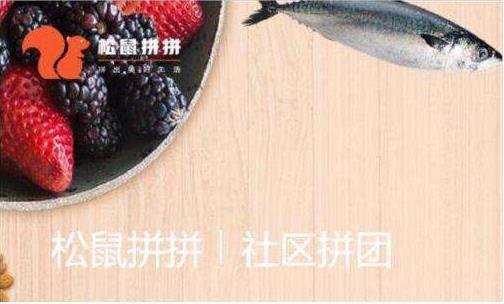 社區團購平臺“松鼠拼拼”完成3100萬美元B1輪融資，融資將用于供應鏈完善等?