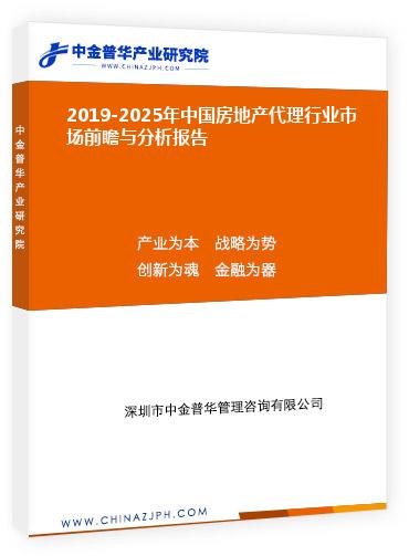 2019-2025年中國房地產代理行業市場前瞻與分析報告