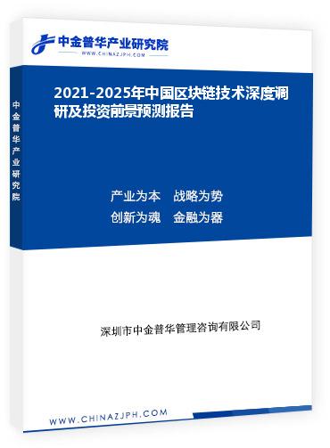 2021-2025年中國區(qū)塊鏈技術(shù)深度調(diào)研及投資前景預(yù)測(cè)報(bào)告