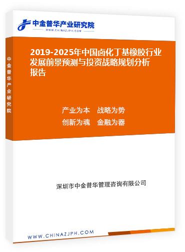 2019-2025年中國鹵化丁基橡膠行業發展前景預測及市場格局分析與投資戰略規劃分析報告