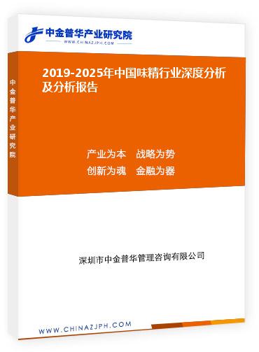 2019-2025年中國味精行業深度分析及分析報告