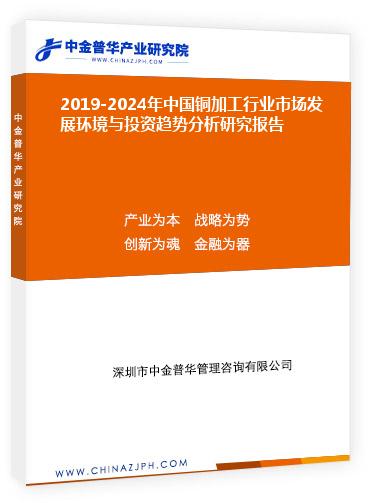 2019-2024年中國銅加工行業市場發展環境與投資趨勢分析研究報告